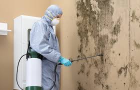 Best HVAC Mold Inspection and Cleaning  in Valrico, FL